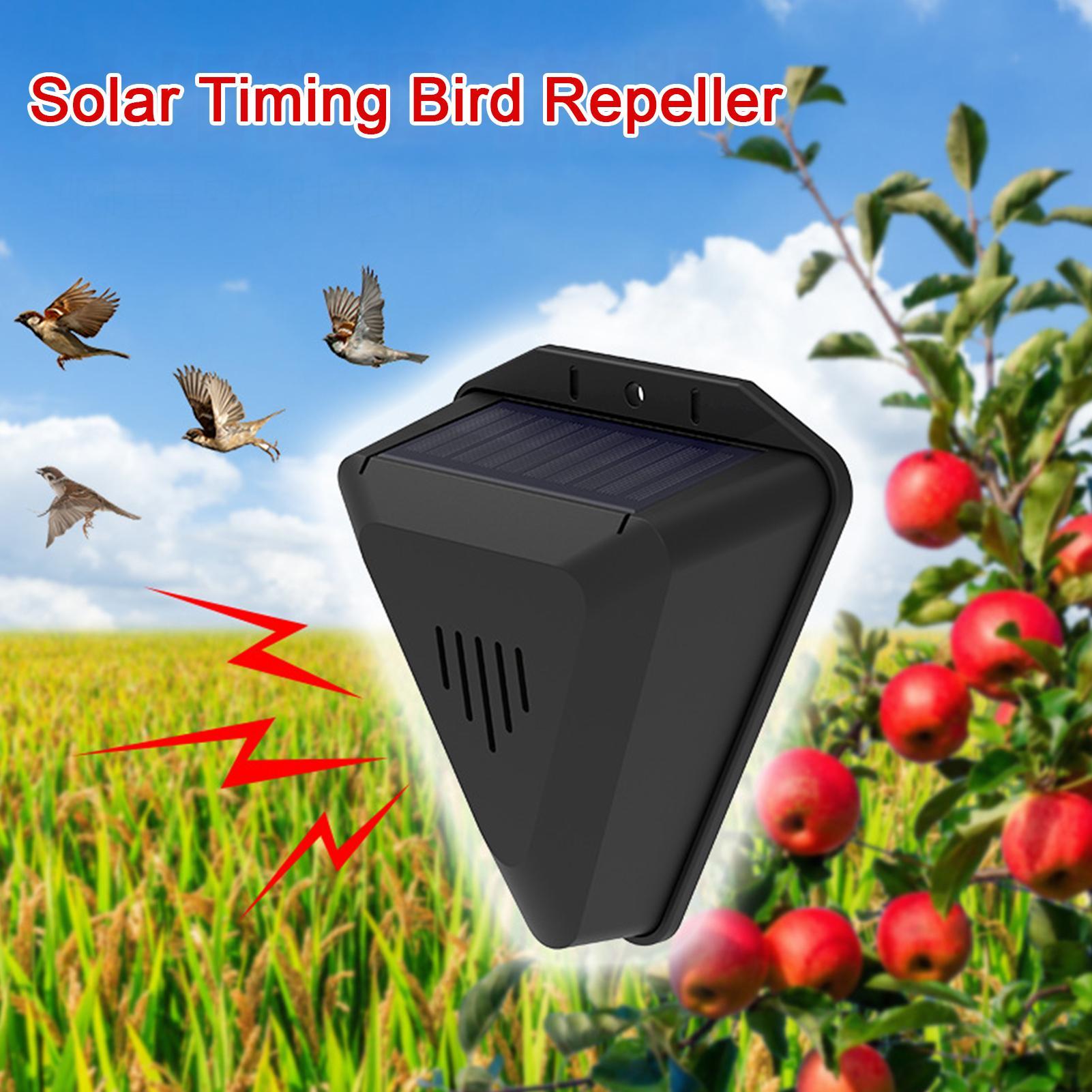 Outdoor Power Timer - Dissuasore per Uccelli Solare con Timer,