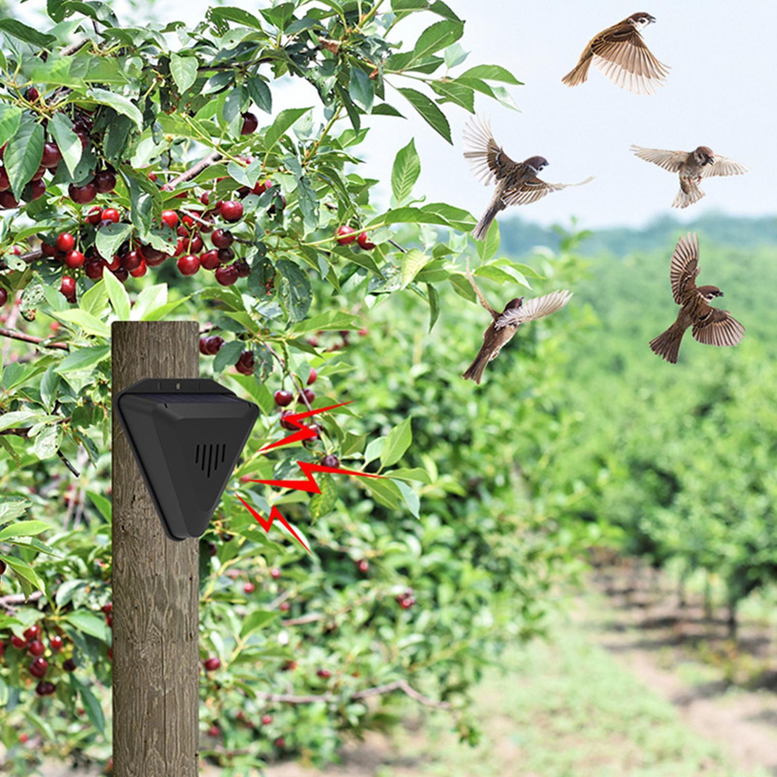 Dissuasore per Uccelli Solare  - Outdoor Power Timer recensione e prezzo